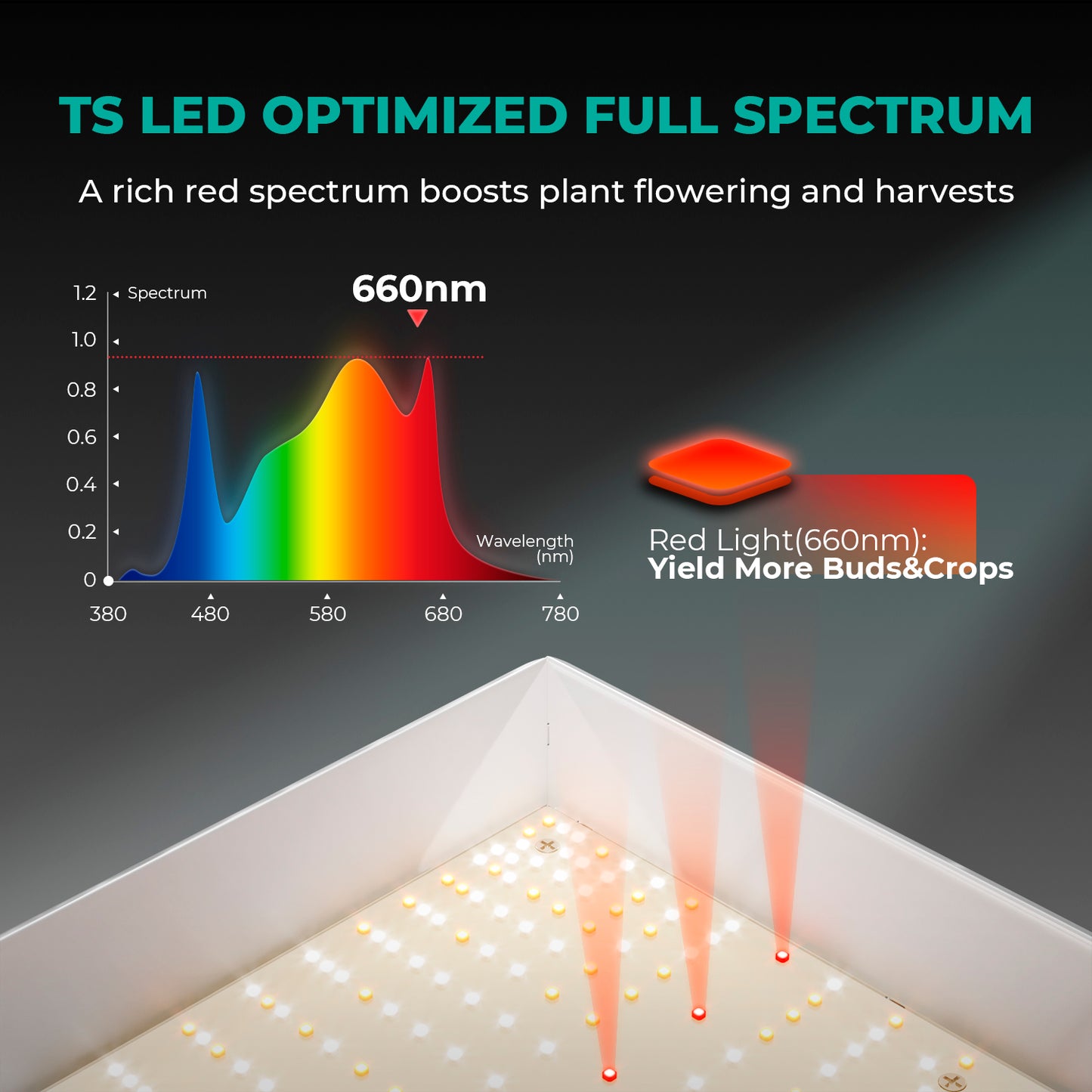 LED MARS HYDRO TSW2000 Quantum Board 300w