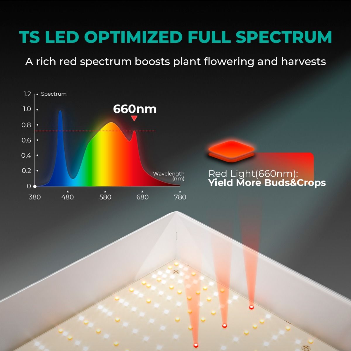 LED MARS HYDRO TS1000 Quantum Board 150w