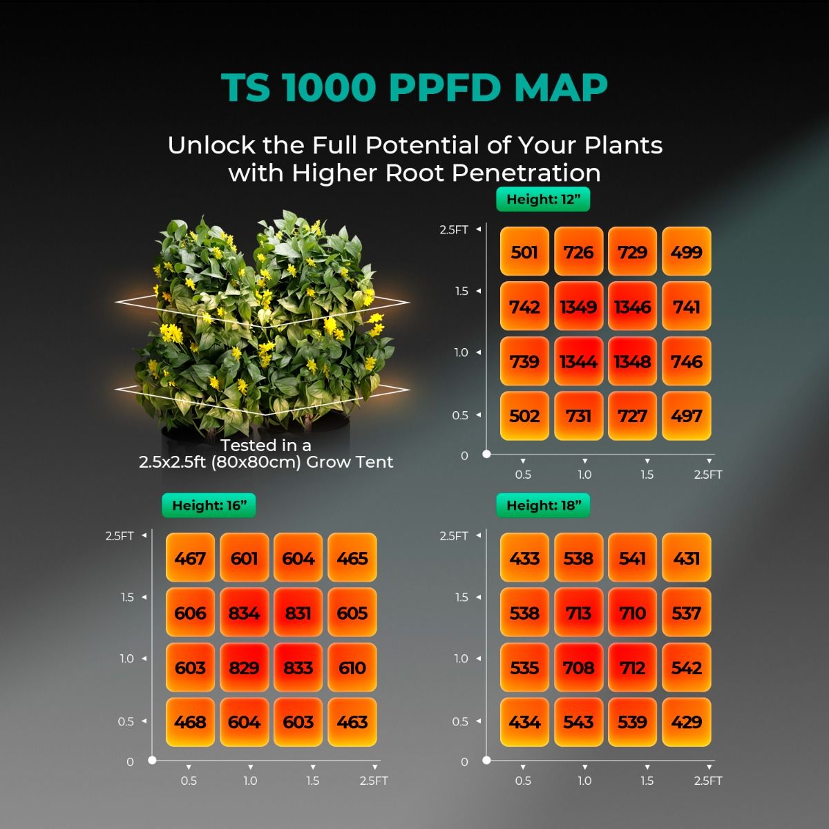 LED MARS HYDRO TS1000 Quantum Board 150w