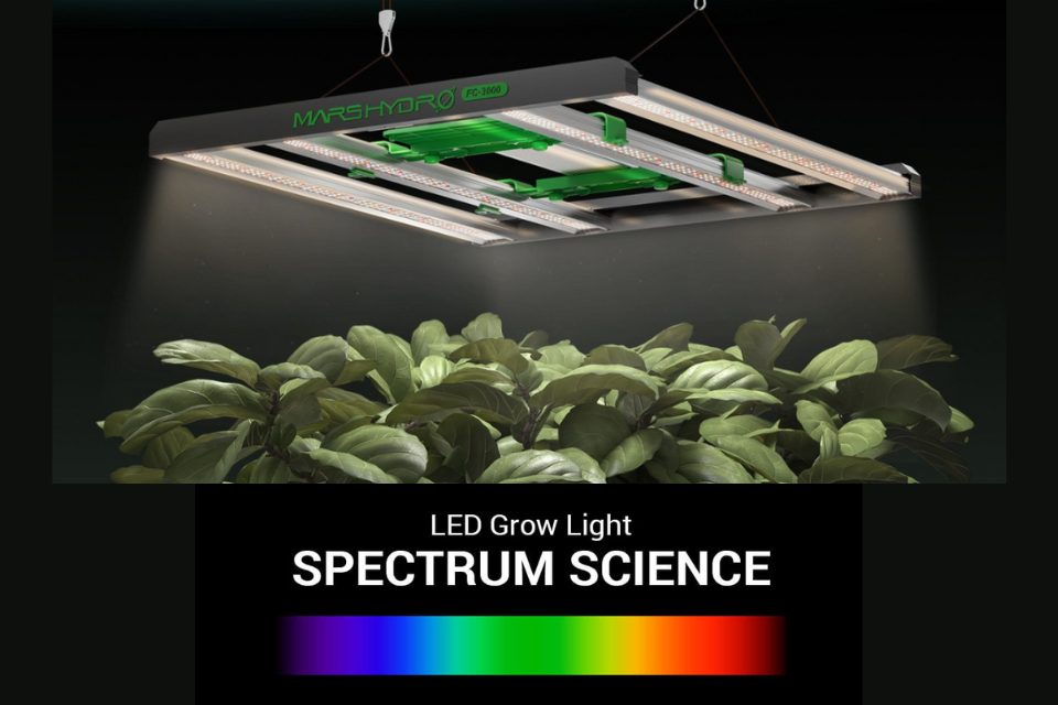 O que é Espectro de Luz: A Ciência por Trás da Luz de Espectro Completo e do Crescimento das Plantas