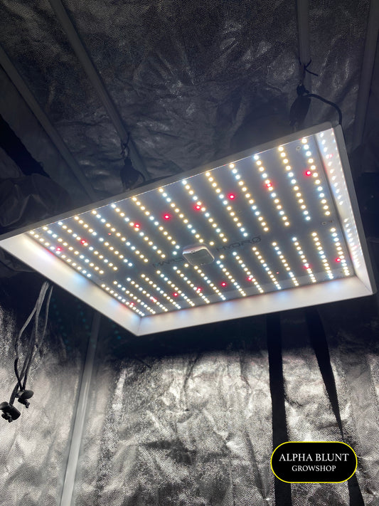 Kit de cultivo 60x60cm Iniciante - LED MARS HYDRO TS1000